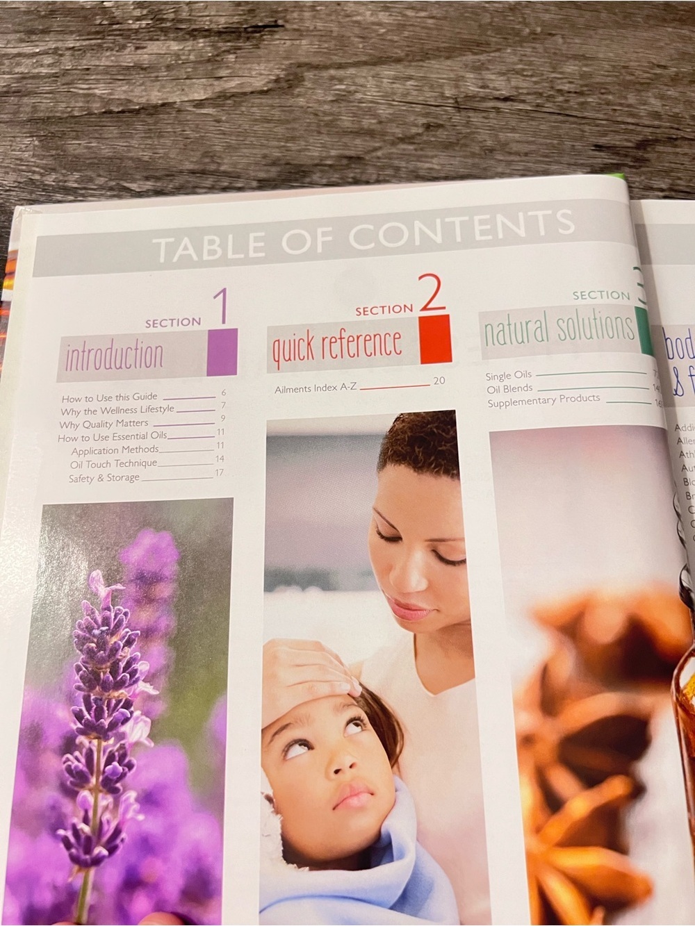 The Essential Life 3rd Edition Essential Oils Reference Guide Wellness Hardcover - Picture 4 of 9
